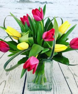 red and yellow tulips in vase