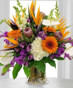 Pink protea with purple orchids and sunflowers and bird of paradise in vase