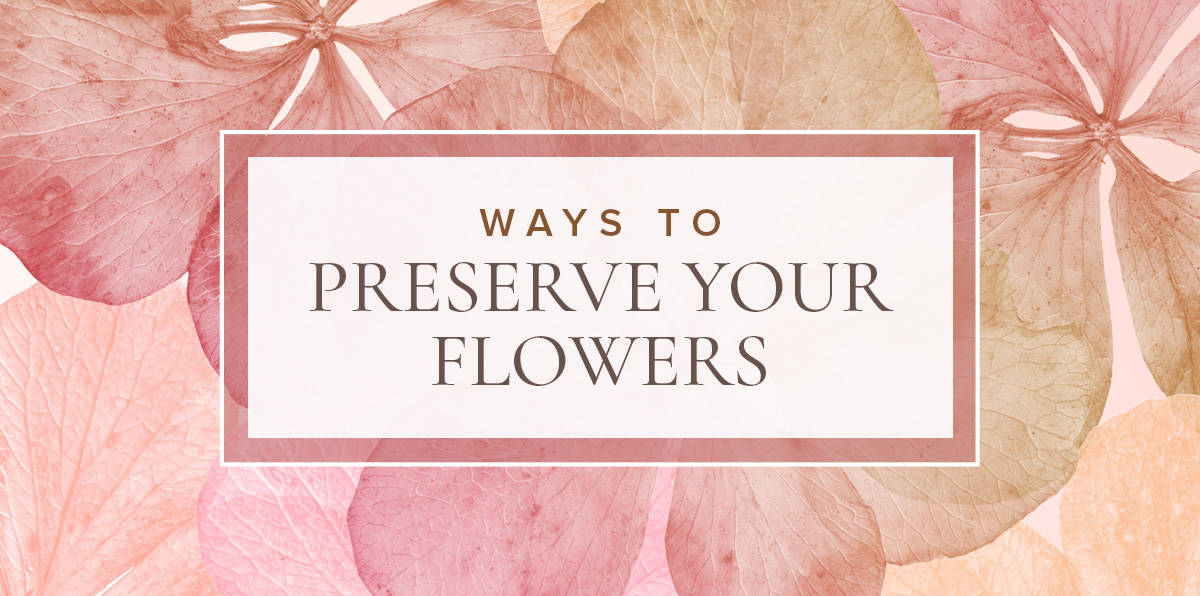 3 Easy Ways to Dry Flowers for Everlasting Beauty - Birds and Blooms