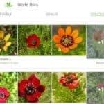 Plantnet