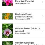 Plant Snap