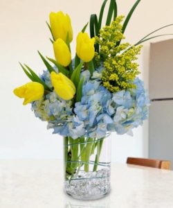 yellow Tulips and blue Hydrangea